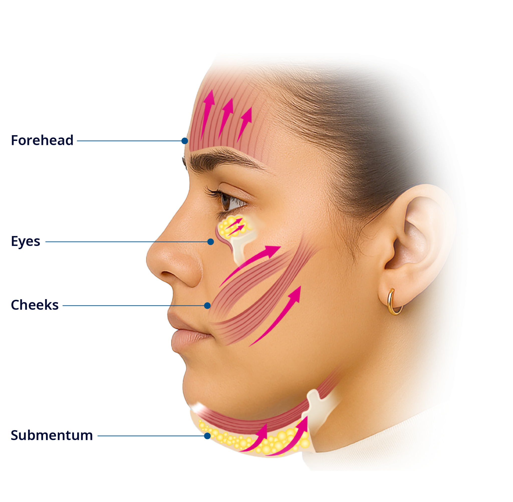 Desktop img diagram Scale Width Wz Iw N Dhd