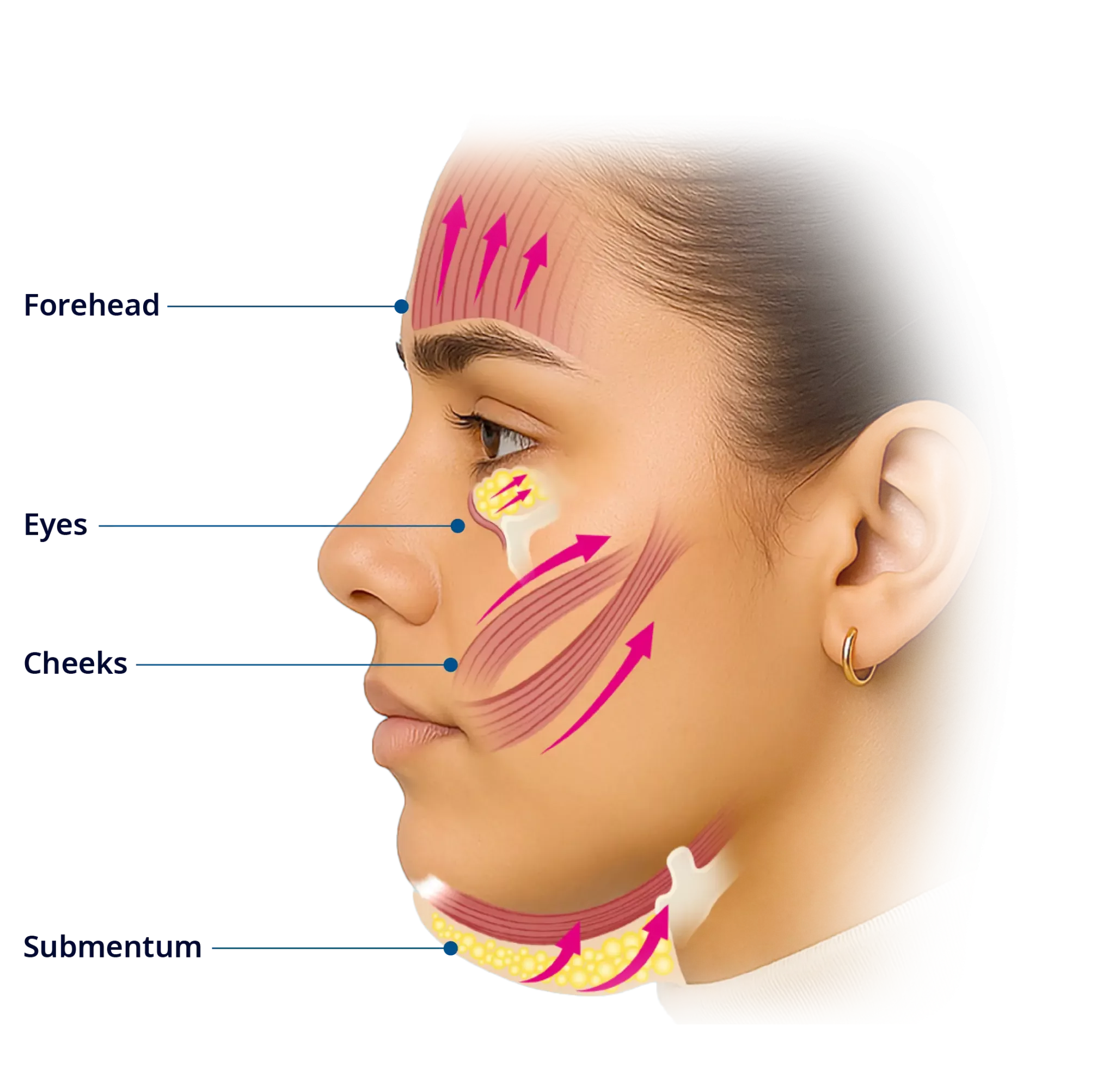 Desktop img diagram Scale Width Wz Iw N Dhd