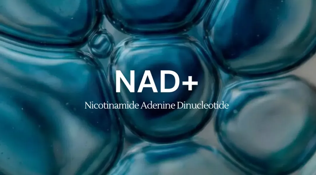 what is Nad+